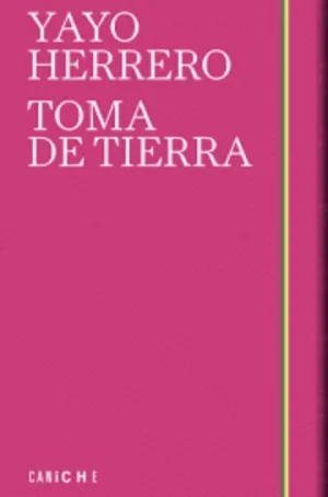 Toma de Tierra