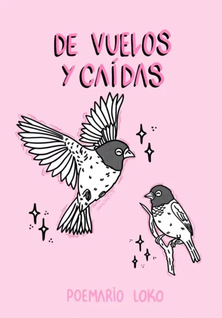 De Vuelos y Caídas
